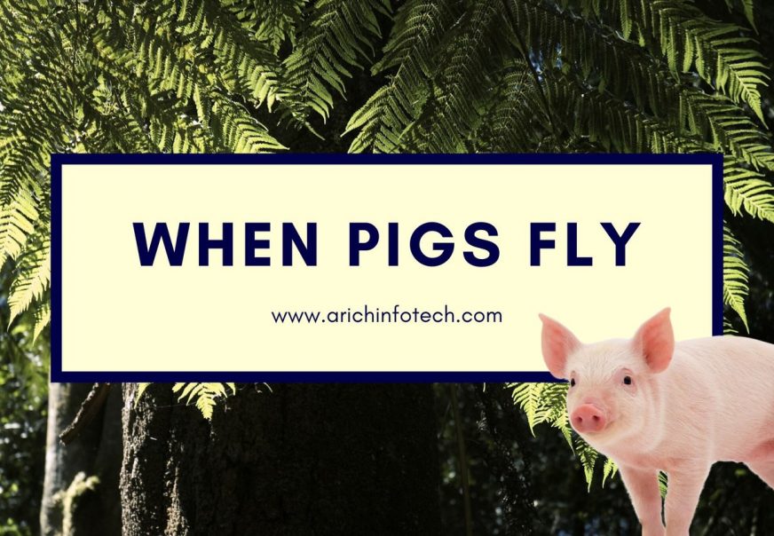 When pigs fly